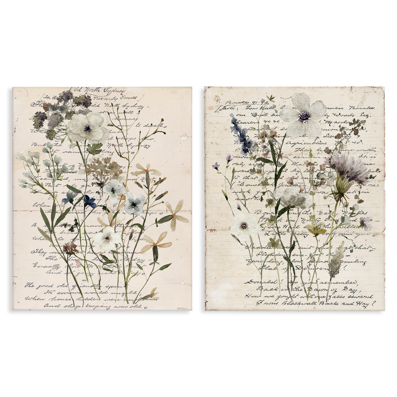 Stupell Industries Vintage Letters with Botanicals 2pc Canvas Wall Art Set Design by Carol Robinson